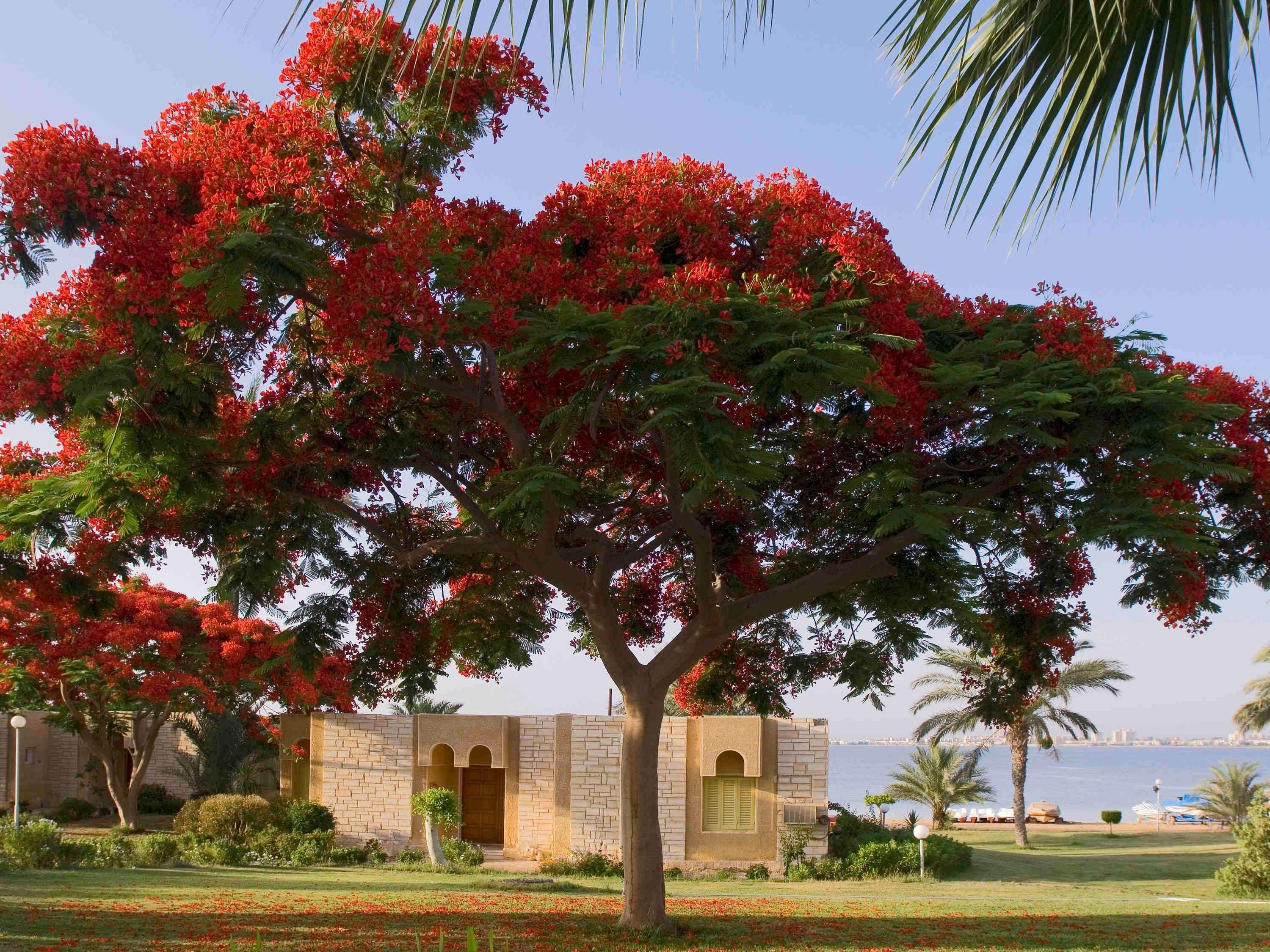 Mercure Ismailia Forsan Island Exterior foto